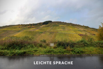 Ein Grundstück in Waldrach. – Sie können mit versetzten Etagen bauen. – – TEXT IN LEICHTER SPRACHE, 54320 Waldrach, Wohngrundstück