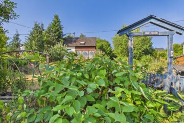 Casa Musica in Riol: Stilvolles Einfamilienhaus mit Mosel-Weitblick und besonderer Wohnatmosphäre, 54340 Riol, Einfamilienhaus