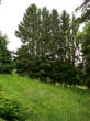 Wohnen in der Ski- und Wanderregion Suhl-Goldlauter. - Die Natur genießen. – TEXT IN LEICHTER SPRACHE - Geiersberg  – 98528 Suhl-Goldlauter